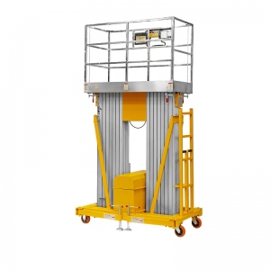 Подъемник двухмачтовый СМАРТЛИФТ (SMARTLIFT) GTWY 12-200S (г/п 200 кг; AC&DC; 12 м)