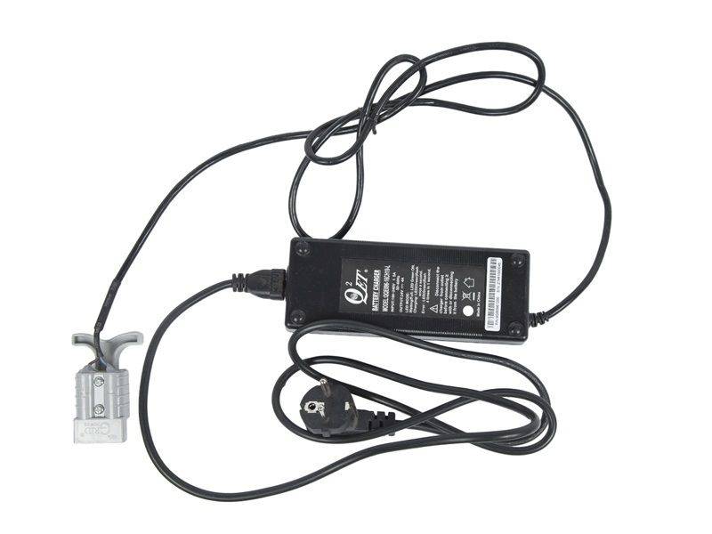 Зарядное устройство для штабелёров CDD10R-E/CDD12R-E 24V/10A (Charger)