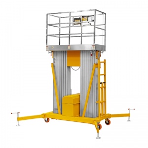 Подъемник двухмачтовый СМАРТЛИФТ (SMARTLIFT) GTWY 8-200S (г/п 200 кг; 220В; 8 м)
