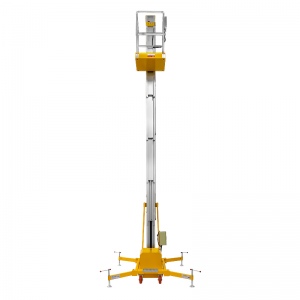 Подъемник одномачтовый СМАРТЛИФТ (SMARTLIFT) GTWY 6-100 (T) (г/п 125 кг; AC&DC; 6 м)